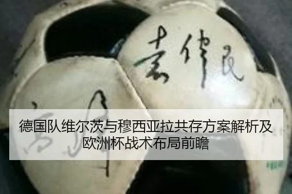 德国队维尔茨与穆西亚拉共存方案解析及欧洲杯战术布局前瞻